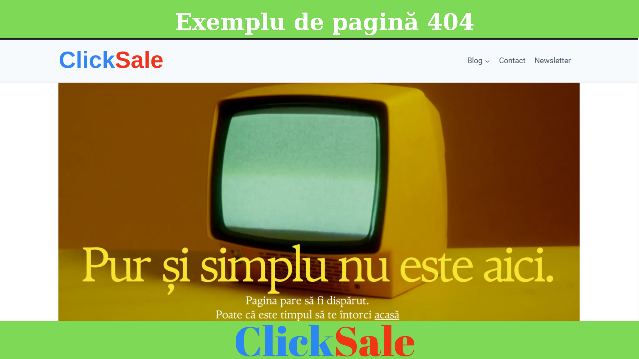 Exemplu de pagină 404